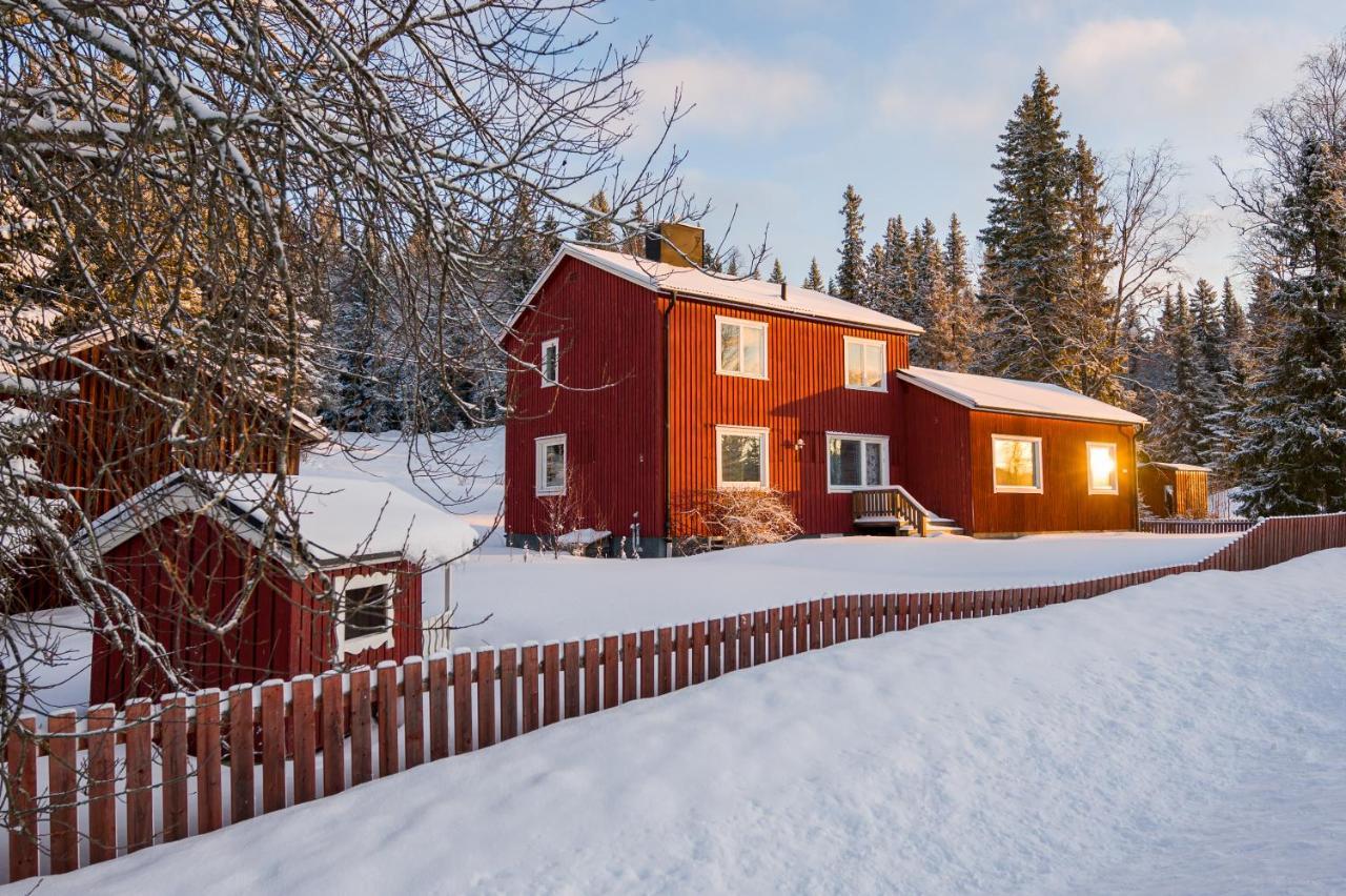 Vila The Bear'S Den Håkafot Exteriér fotografie