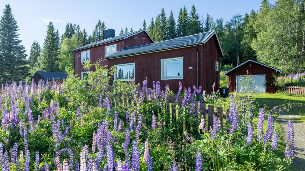 Vila The Bear'S Den Håkafot Exteriér fotografie