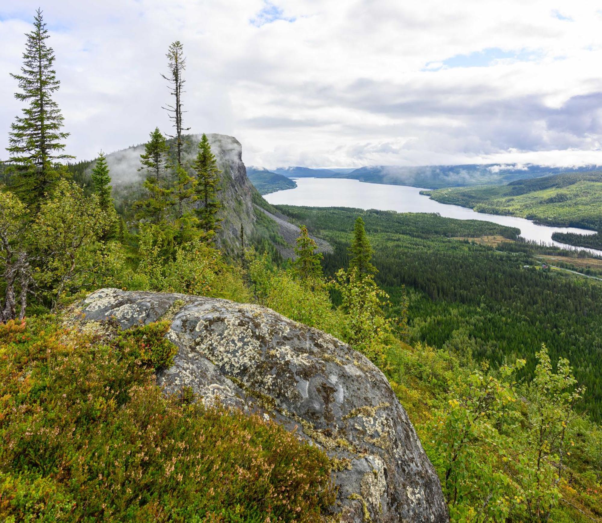 Vila The Bear'S Den Håkafot Exteriér fotografie