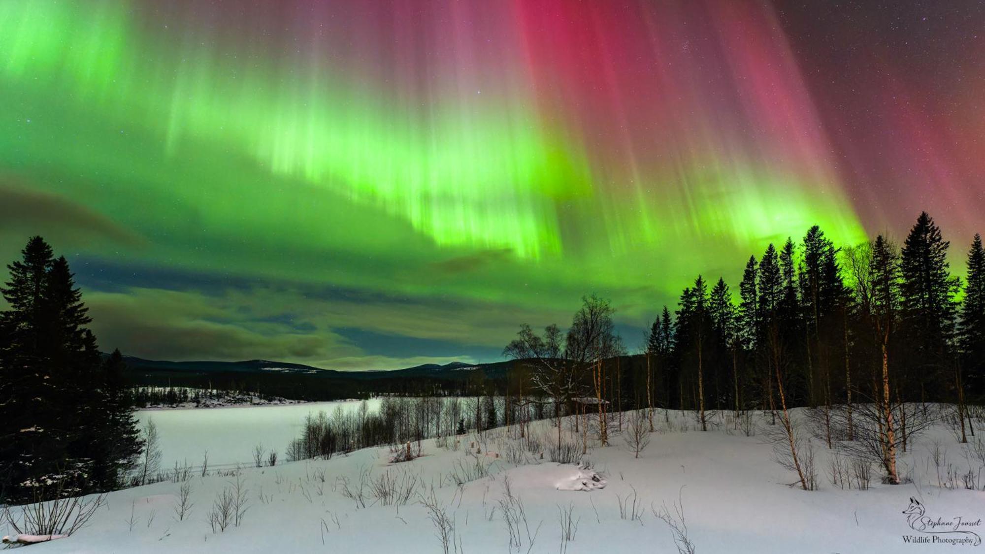 Vila The Bear'S Den Håkafot Exteriér fotografie